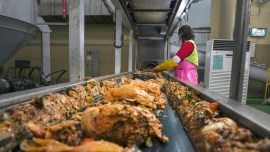 Food waste being processed at Dobong-gu Waste Disposal Facility in Dobong-gu, Seoul, Korea