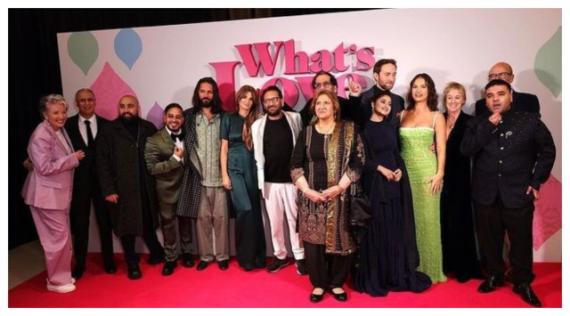 Shekhar Kapur’s What’s Love Got to Do with It? bags nine nominations at ...