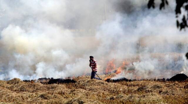 Stubble-burning