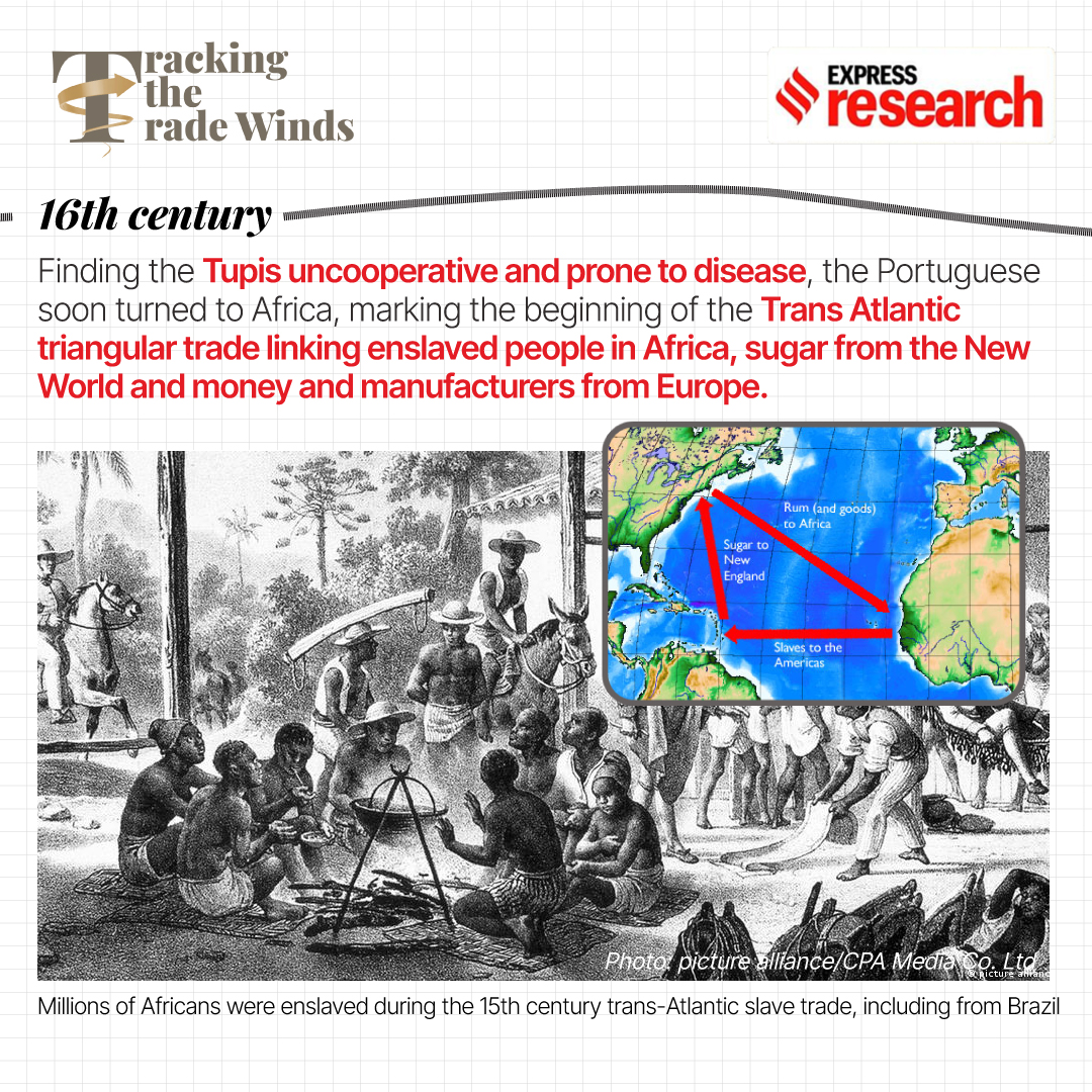 sugar and the triangular slave trade