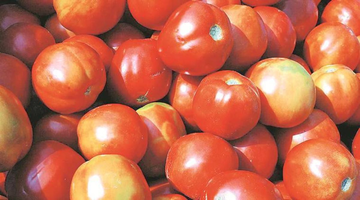 Tomato prices soar across cities in India | Business News,The Indian Express
