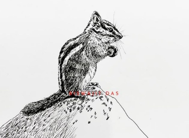 art, artworks, pen and ink, art exhibition, biswajit das, new delhi art gallery, new delhi art exhibition, new delhi, india, artist, indian express