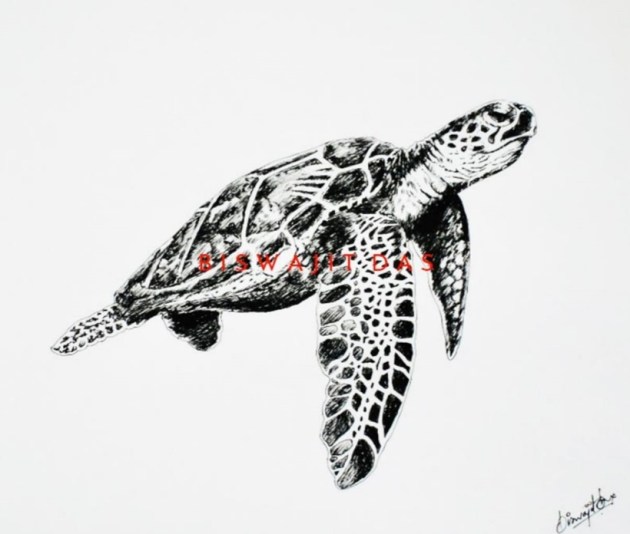 art, artworks, pen and ink, art exhibition, biswajit das, new delhi art gallery, new delhi art exhibition, new delhi, india, artist, indian express