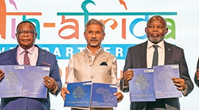 India-Africa Growth Partnership, External Affairs Minister S Jaishankar, S. Jaishankar, Rise of Africa, CII-EXIM Bank Conclave, Indian Express, India news, current affairs