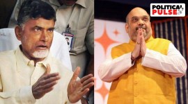 Amit Shah, N Chandrababu Naidu, Telugu Desam Party (TDP), JP Nadda, Political Pulse, Indian Express, India news, current affairs