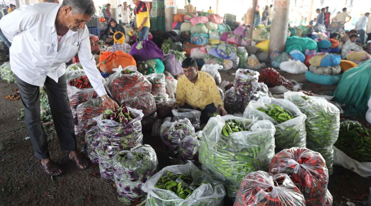 Vegetable prices pinch Pune; traders blame late monsoon and summer crop  destruction