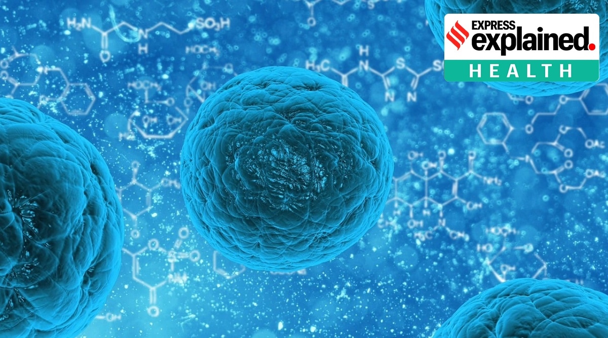 Representational, bacteria.