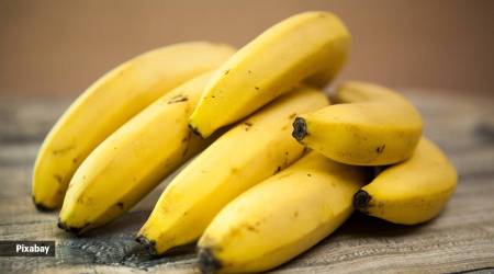 Although bananas are relatively high in carbohydrates, they also contain fiber, which aids in digestion and can promote feelings of fullness
