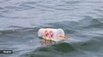 Ocean Day 2023