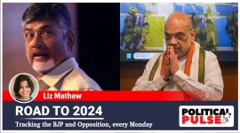 Chandrababu naidu, TDP