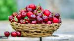 cherries