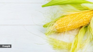 corn silk