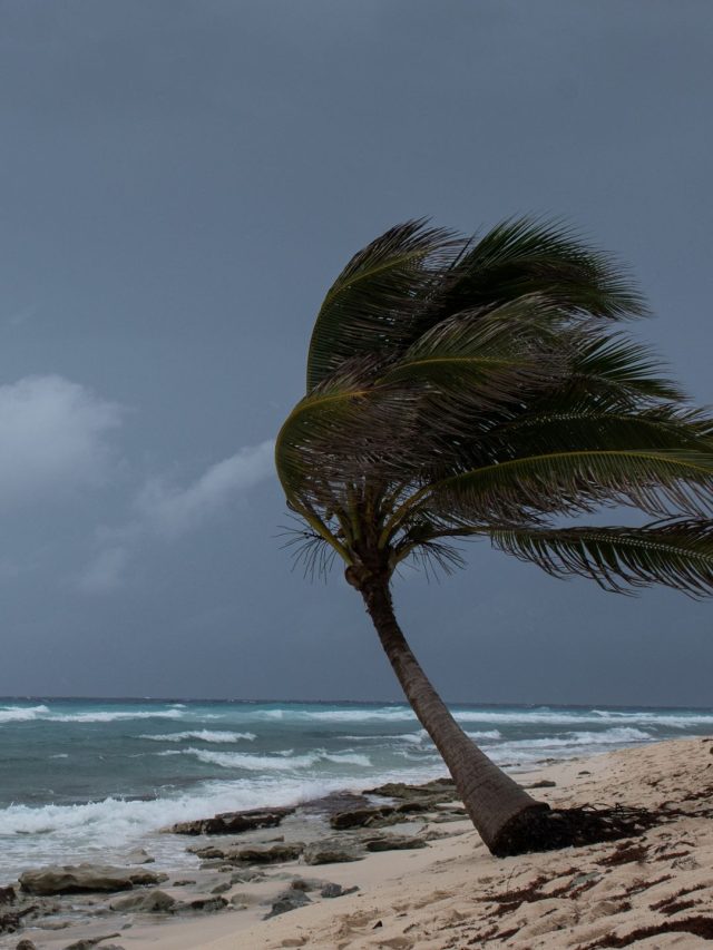 Health measures to follow during cyclone | The Indian Express