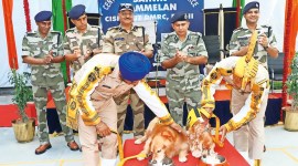 CISF, delhi metro, CISF Sniffer Dogs Retire, CISF Sniffer Dogs, Delhi news, New Delhi, Indian Express, current affairs