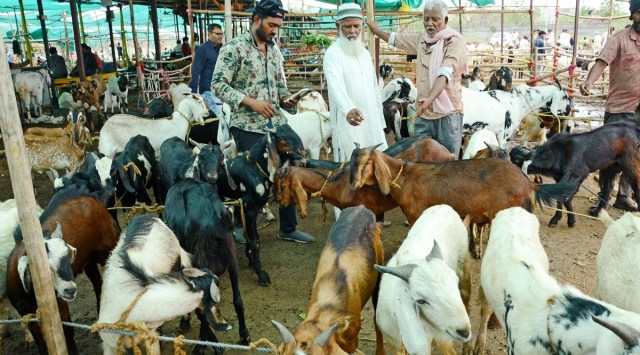 Violence related to cow vigilantism rises, police buck up to ensure ...