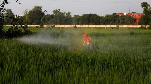 Govt to utilise PACS as ‘drone entrepreneurs’ for spraying fertilisers