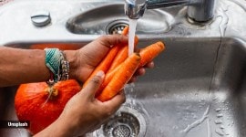 world food safety day