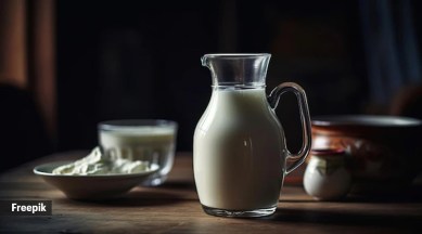 garlic milk