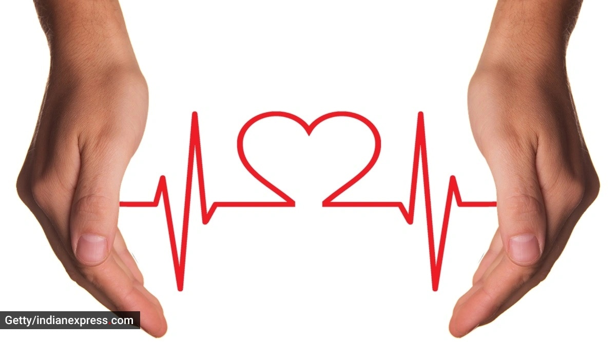 heart 