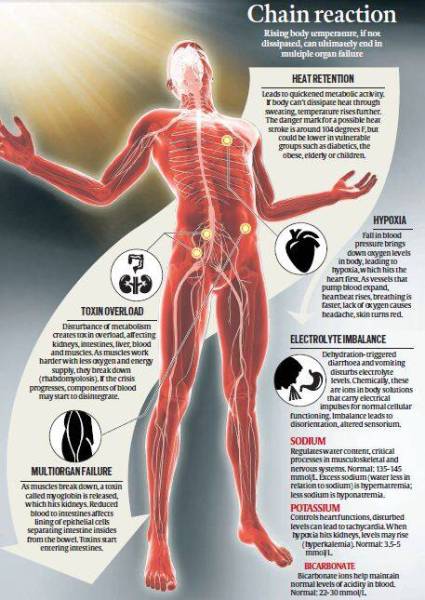 68 dead in Ballia amid heatwave: How high temperatures combined with ...