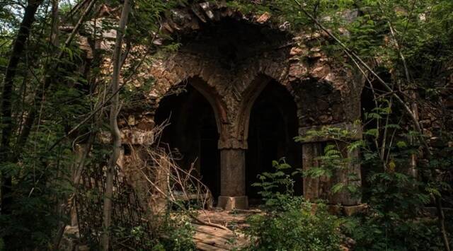 Malcha Mahal, forest revamp, Central Ridge, five-layered plantation, Sardar Patel Marg rennovation, indian express, indian express news