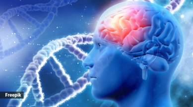 . Usually, the immune system fights back any alien bacteria or virus when they attack your body.