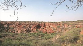 safari park in Aravallis, final call on proposals, Haryana Tourism Department, Gurgaon, Nuh, indian express, indian express news