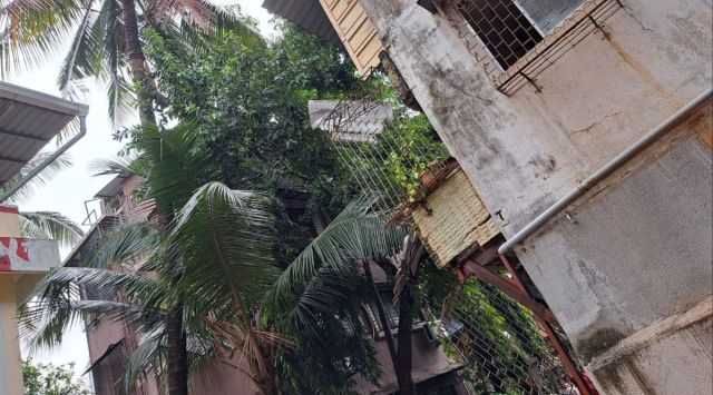 Mumbai rain building collapse