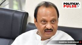 ajit pawar, political pulse, indian express