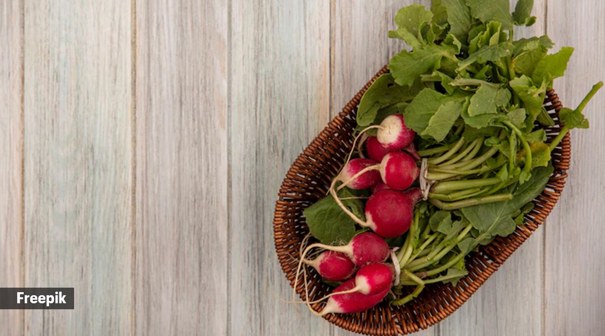 Tender vs mature radish Which is better? Health News The Indian Express