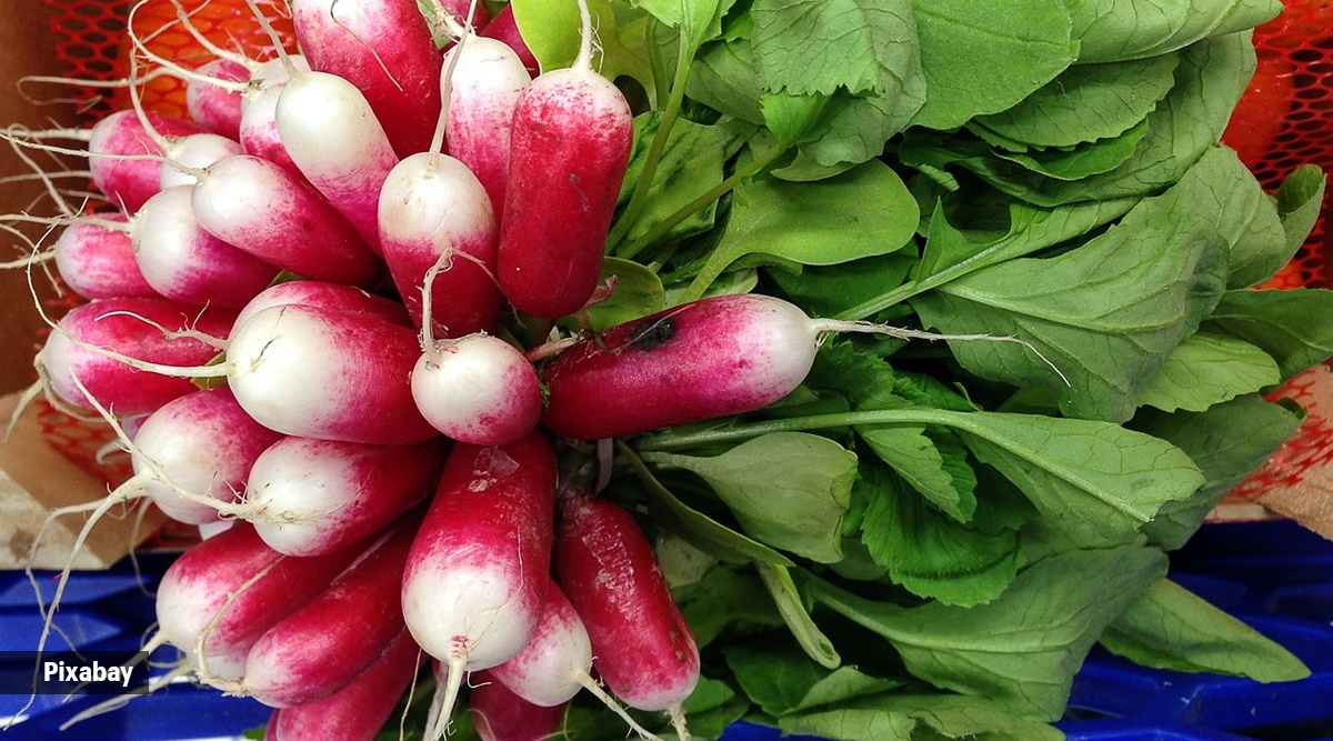 radish