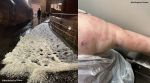red rocks Denver hailstorm
