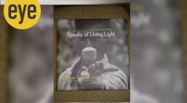 The title of the book and the quotes used in it are from Rabindranath Tagore’s 1928 poem Fireflies.