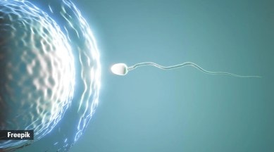 sperm health
