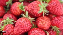 Strawberries are a good source of antioxidants, dietary fibre and are also low in calories and fats