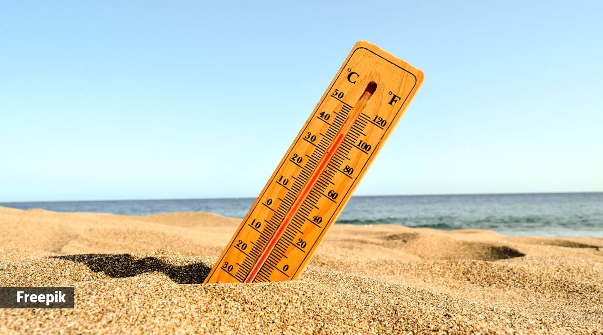 In Ayurveda and traditional medicine systems, phalsa is believed to possess cooling properties and is often recommended to combat heat-related disorders.