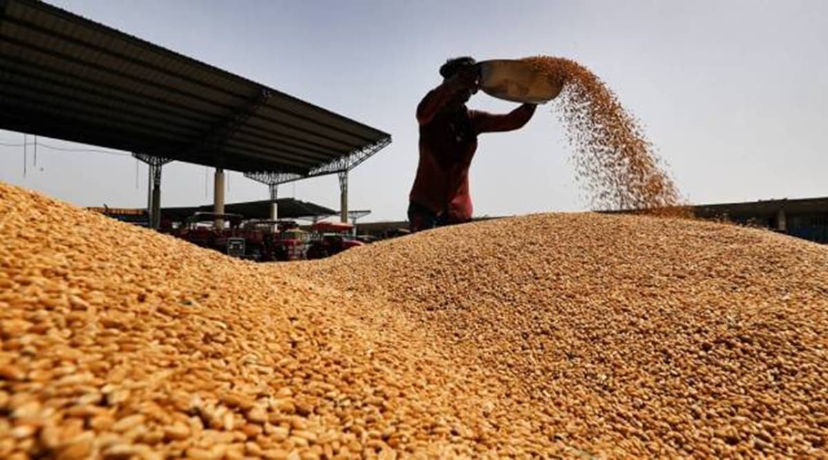 Open Market Wheat Sales Scheme