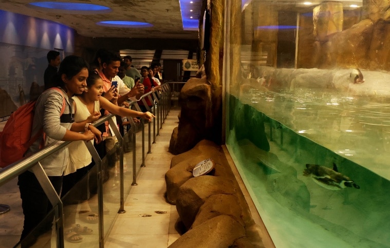zoo mumbai byculla