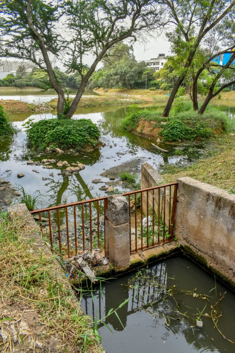 Singhasandra Lake 1