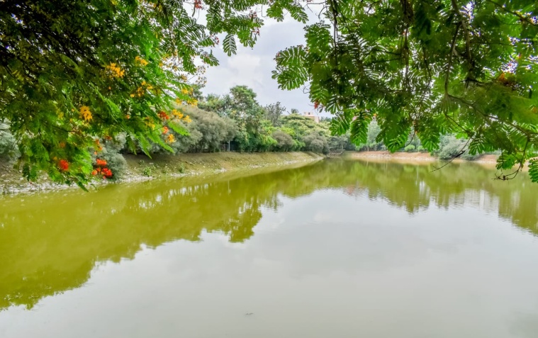 Singasandra Lake 3