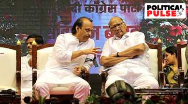 pawars meet maharashtra