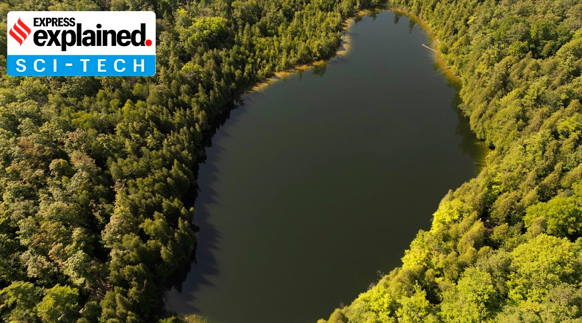 Scientists say the ‘Anthropocene epoch’ began in the 1950s What it