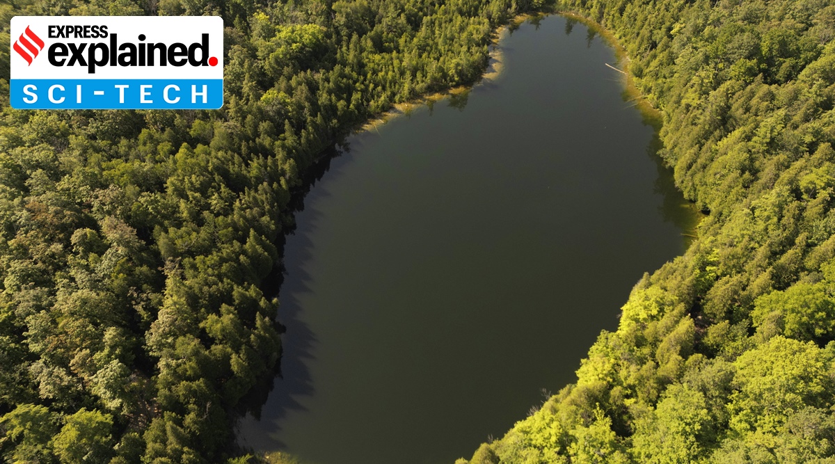 Anthropocene epoch has begun