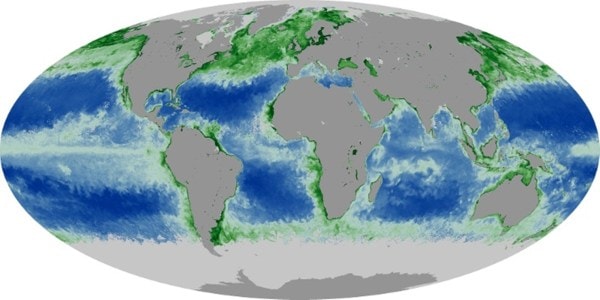Chlorophyll Map
