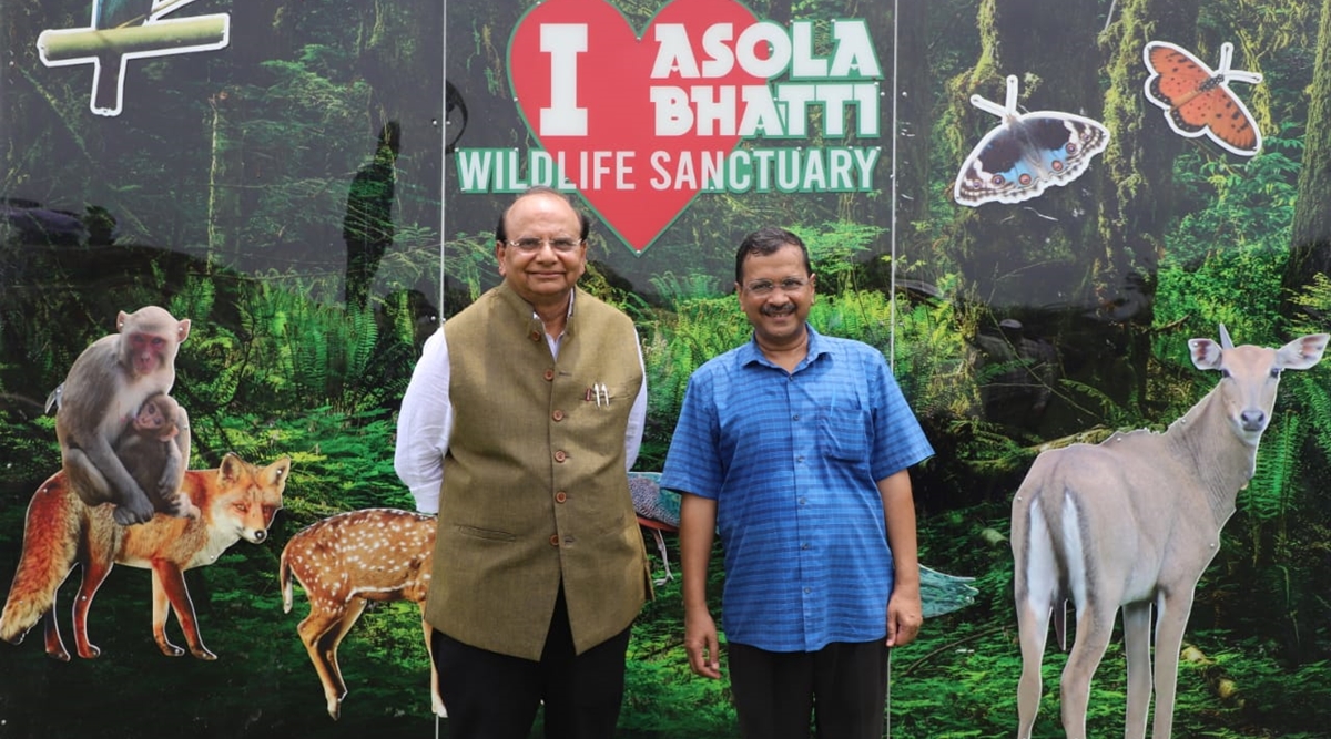 CM Kejriwal, L-G come together at Van Mahotsav event - Vimarsana News