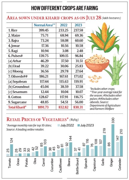 Monsoon and food inflation: a status check