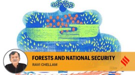 Forests and national security