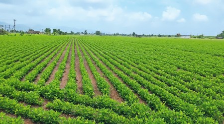 Cyclone Biparjoy financial assistance, gujarat government, Cyclone Biparjoy, Rushikesh Patel, Ahmedabad news, Gujarat, Indian Express, Current affairs