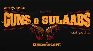 Guns and Gulaabs series