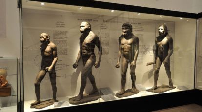 Large-scale study of genetic data shows humans still evolving